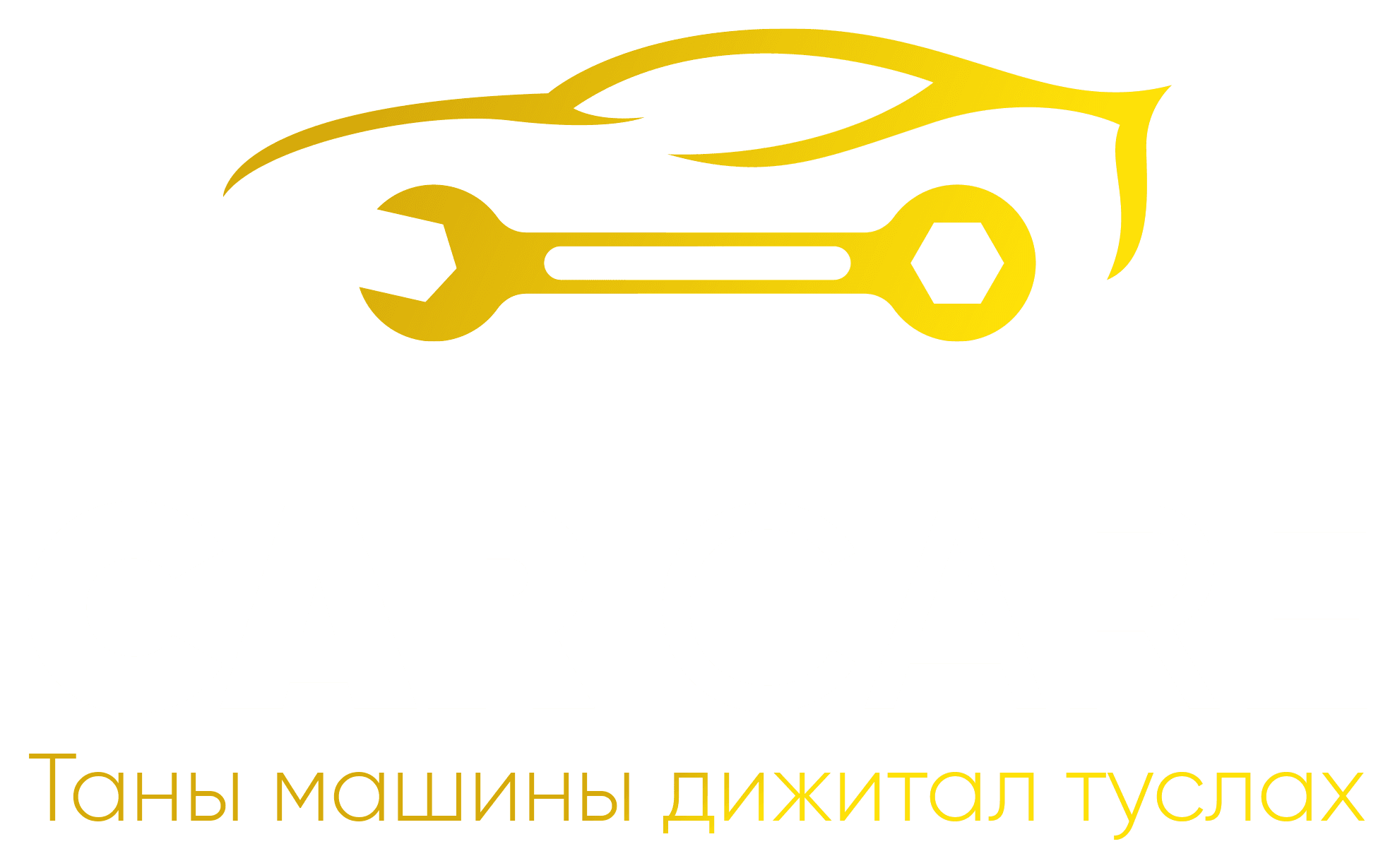 CarCare Logo